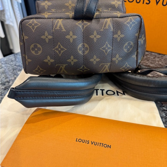 Louis Vuitton Palm Springs Monogram (Updated Zipper) PM main image 4
